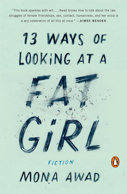 13-Ways-of-Looking-at-a-Fat-Girl