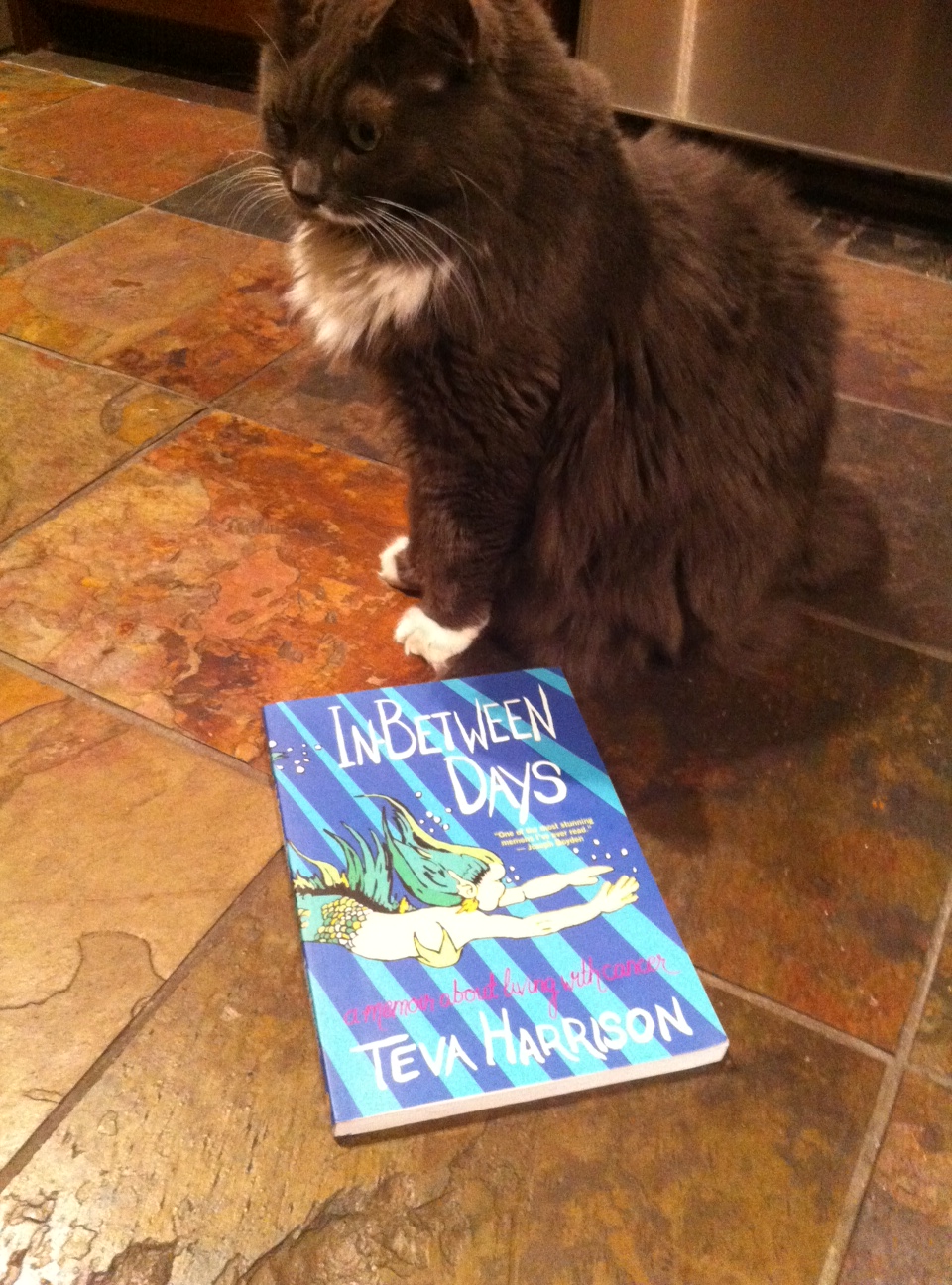 Book Review: In-Between Days by Teva Harrison
