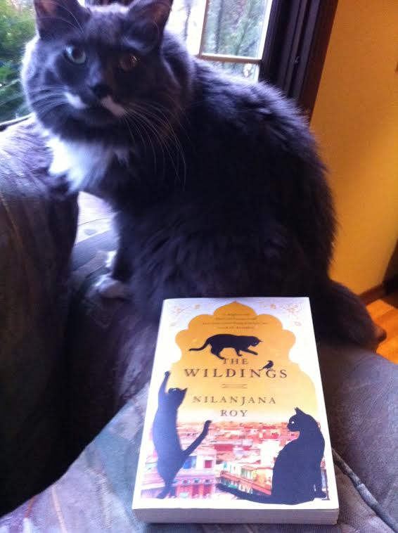 Book Review: The Wildings by Nilanjana Roy