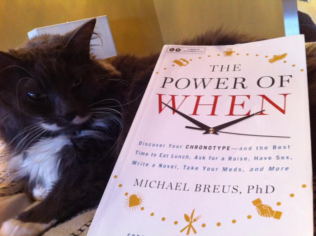 Book Review: The Power of When by Michael Breus, PhD