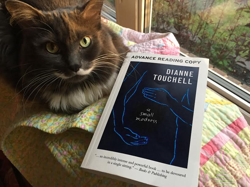 Book Review: A Small Madness by Dianne Touchell