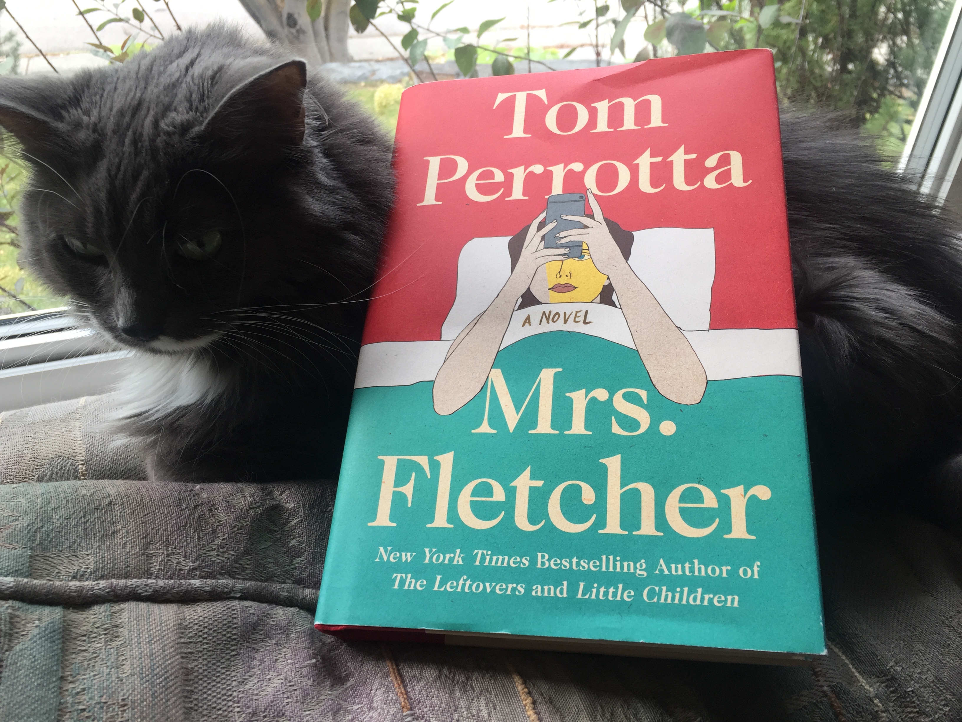Book Review: Mrs. Fletcher by Tom Perrotta