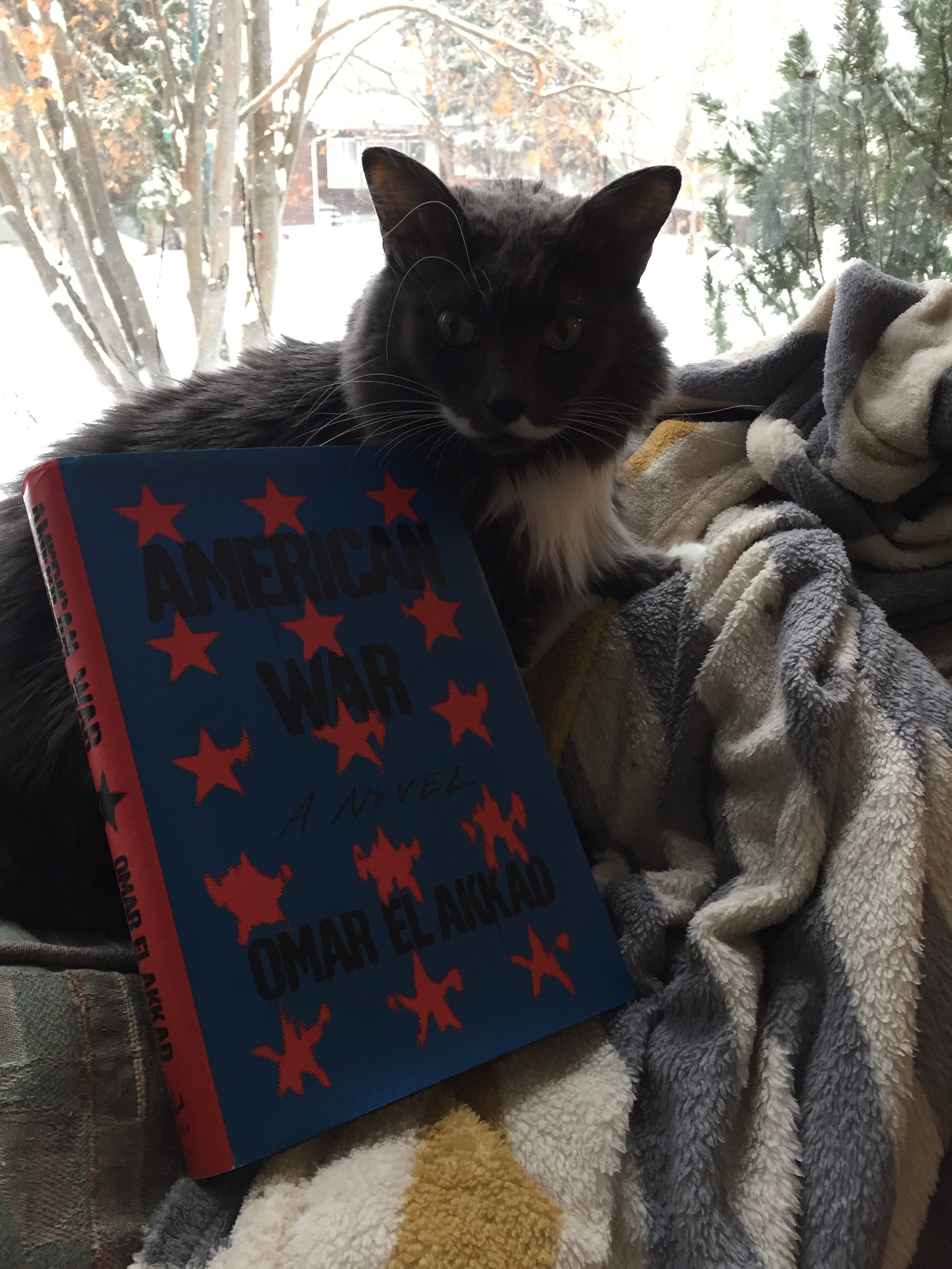 Book Review: American War by Omar El Akkad