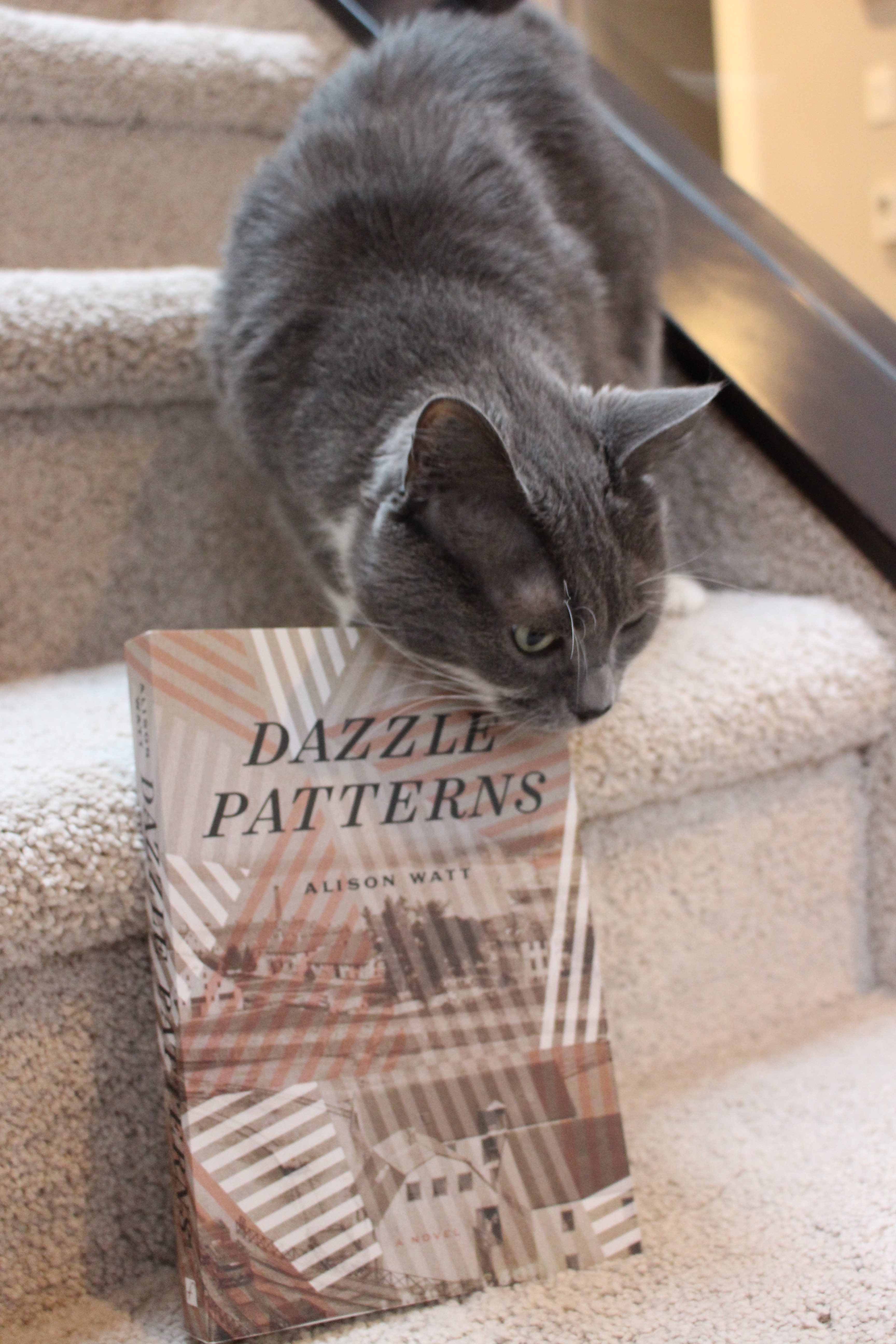 Book Review: Dazzle Patterns by Alison Watt