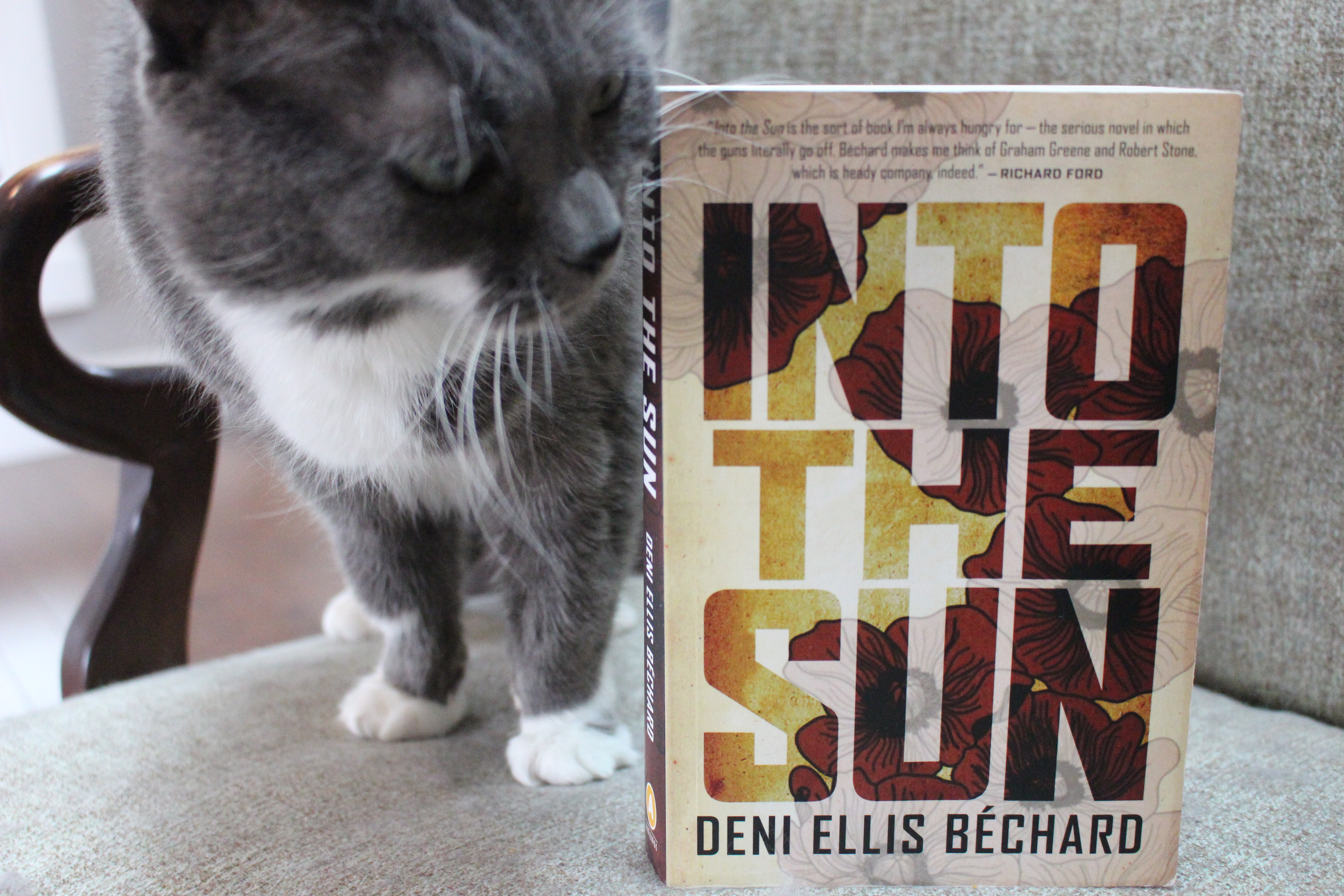 Book Review: Into the Sun by Deni Ellis Bechard