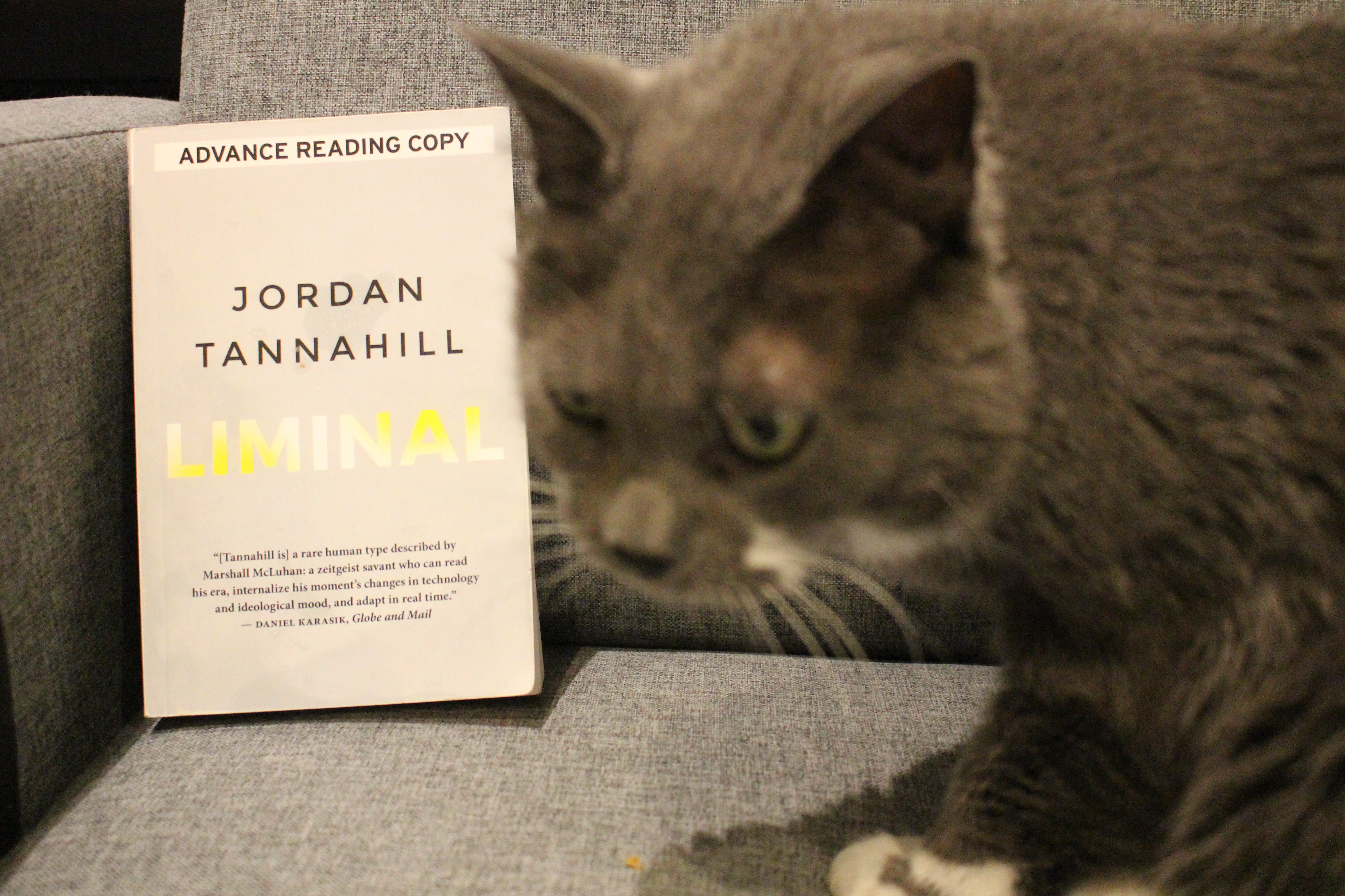 Book Review: Liminal by Jordan Tannahill