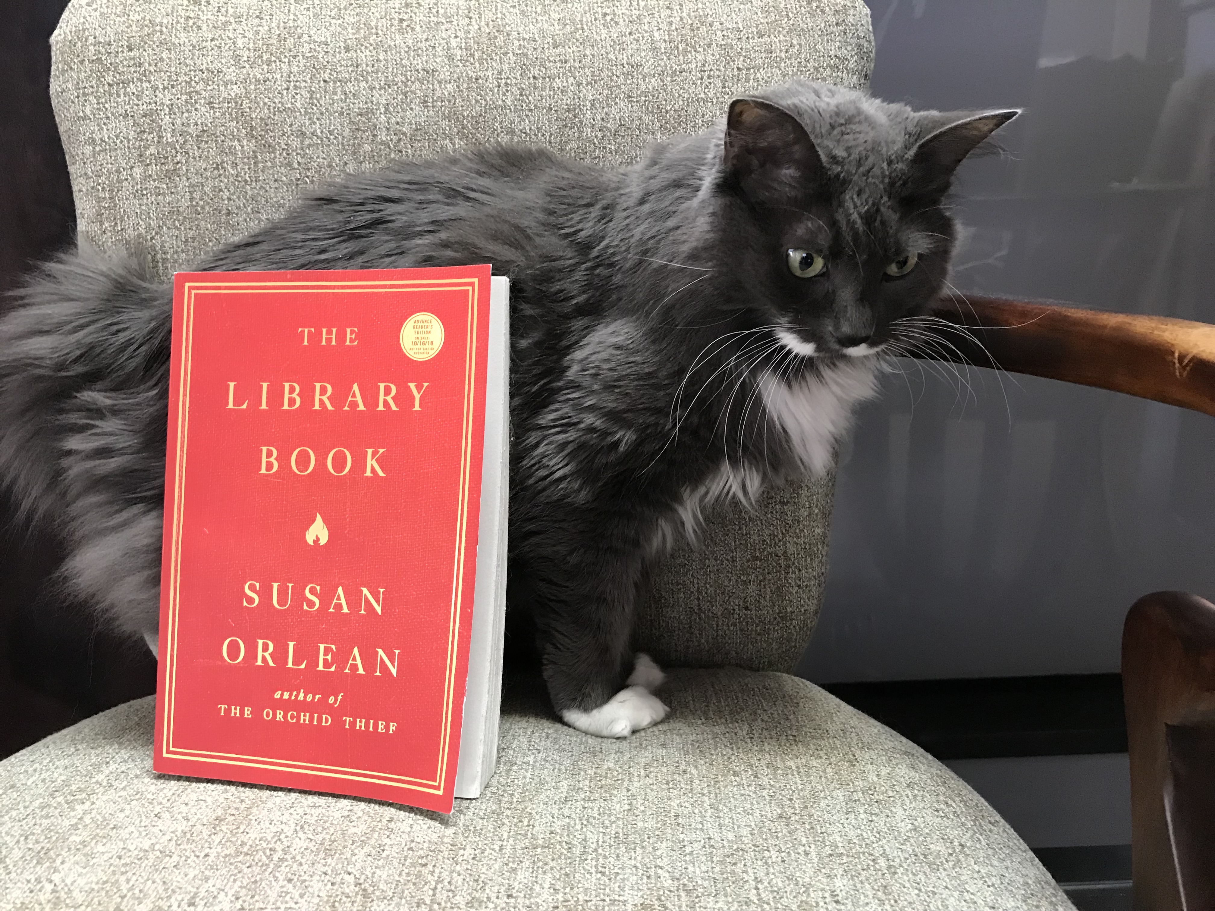 Book Review: The Library Book by Susan Orlean