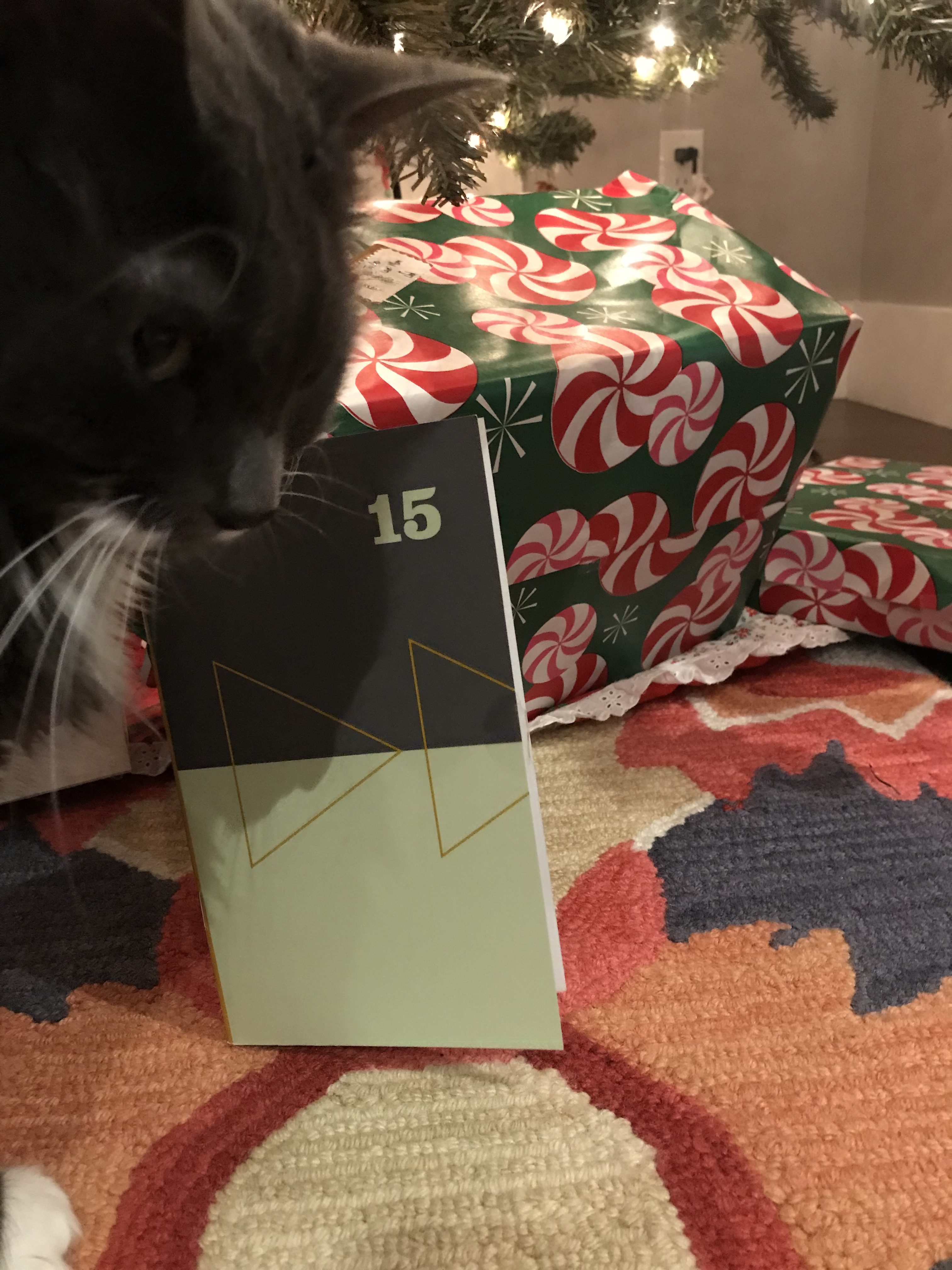 2018 Short Story Advent Calendar Unveiling: December 15