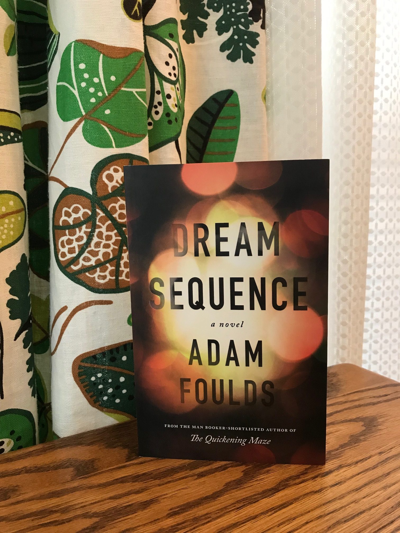 Book cover of Dream Sequence by Adam Foulds