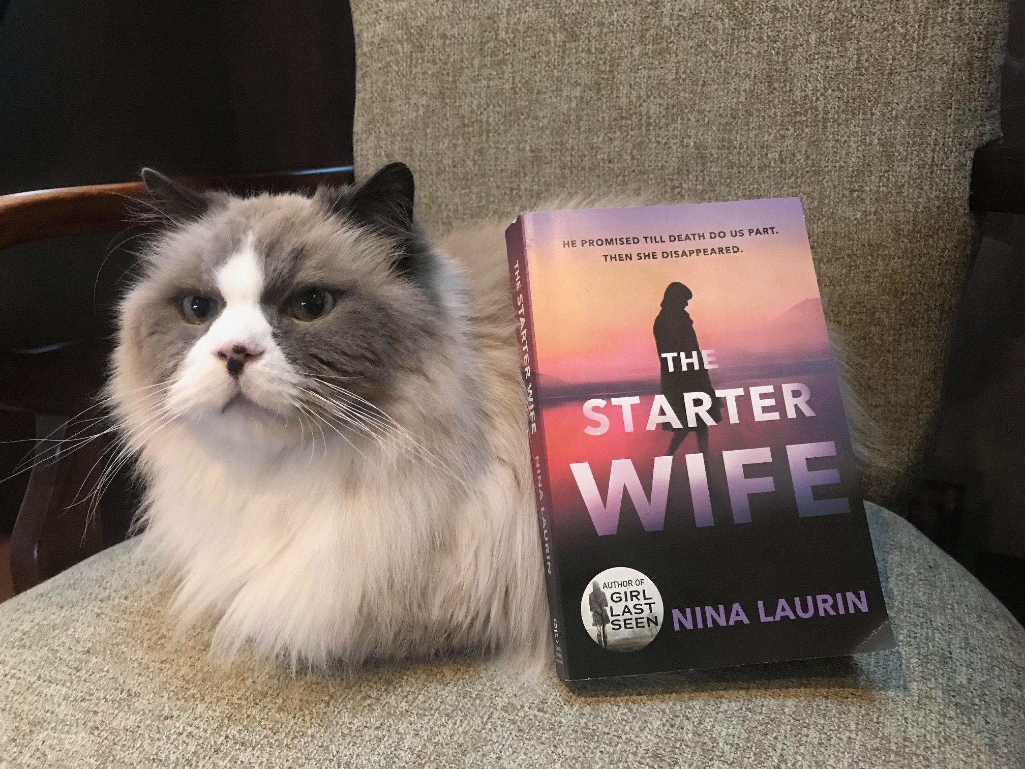 Comparison Book Review, A Tale of Two Wives: The Starter Wife vs. Autopsy of a Boring Wife
