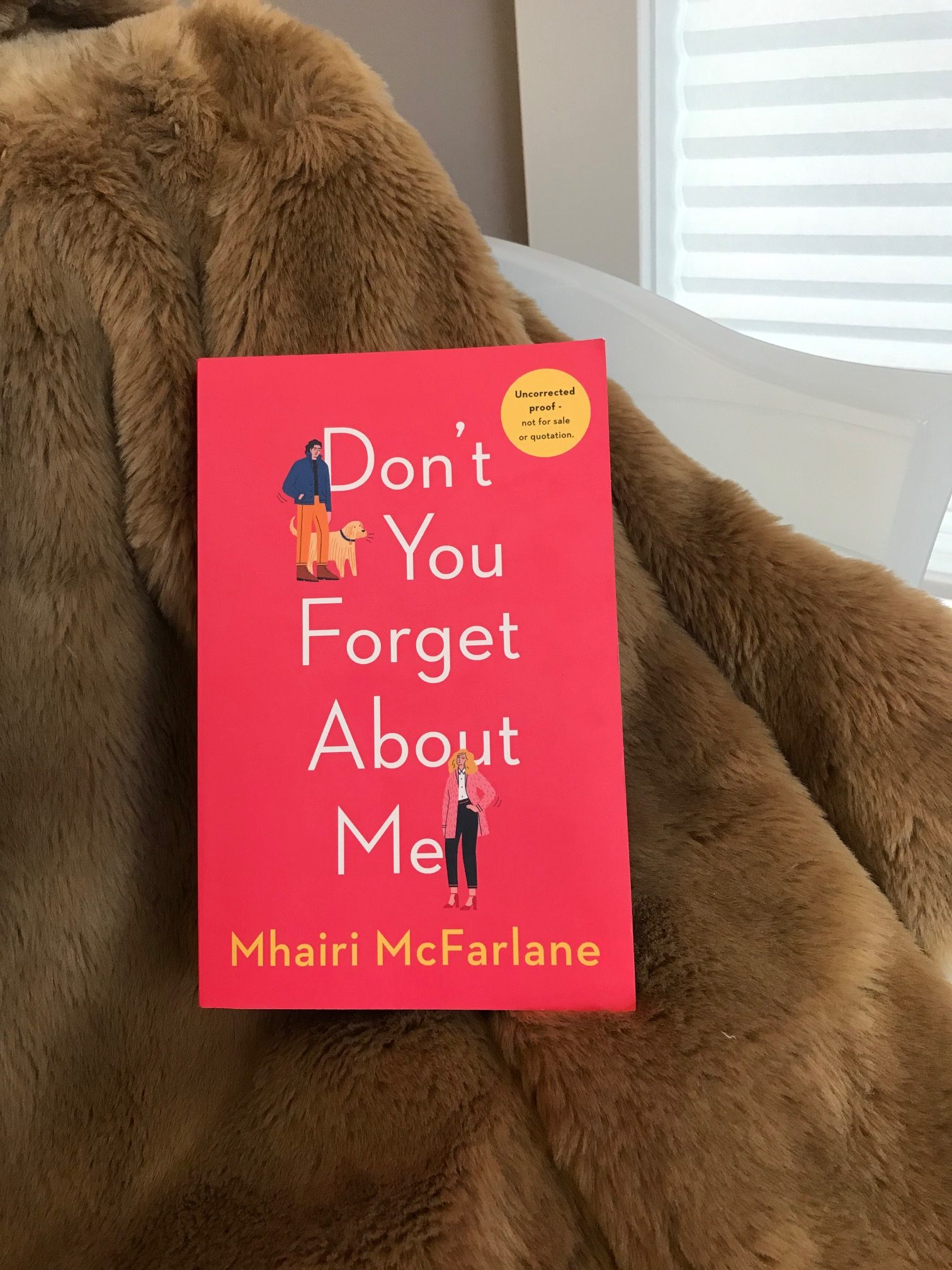 Book Review: Don’t You Forget About Me by Mhairi McFarlane