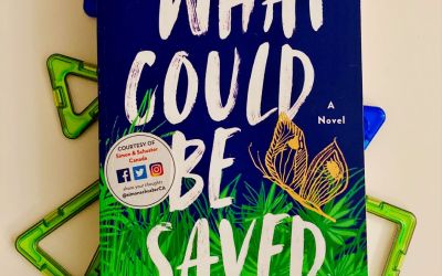 Book Review: What Could be Saved by Liese O’Halloran Schwarz