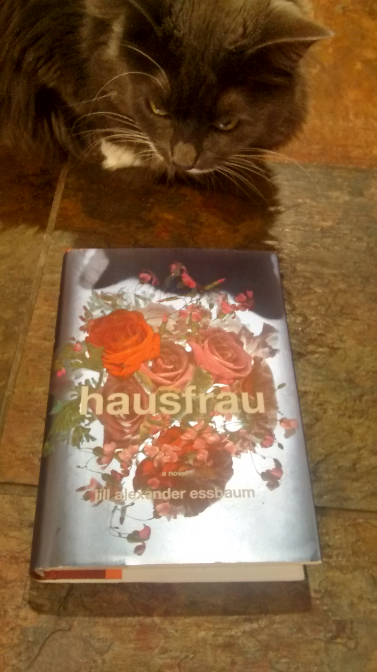 Smokey checking out Hausfrau