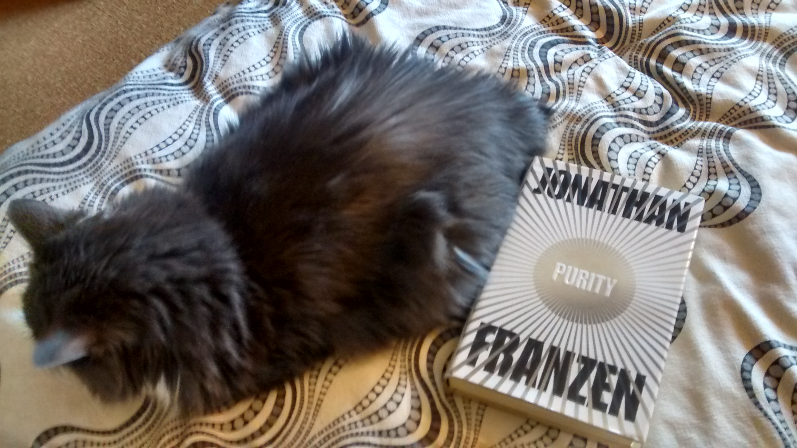 As a feminist, Smokey refuses to even look at Franzen's writing, due to his one-dimensional portrayal of women