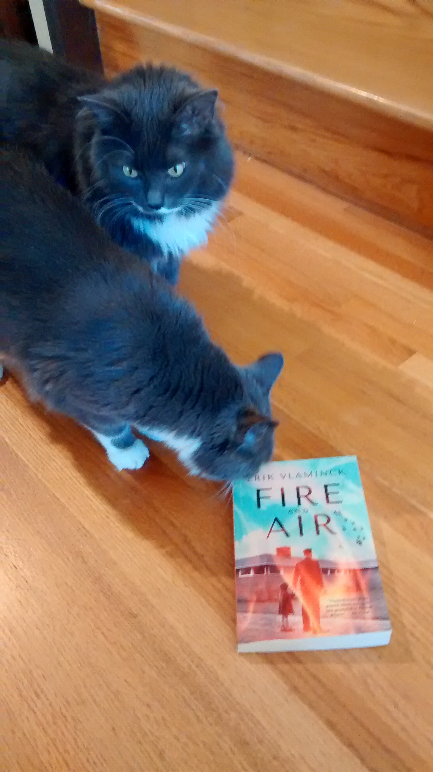Smokey was ambivalent about this book, but Pearl was willing to take a look
