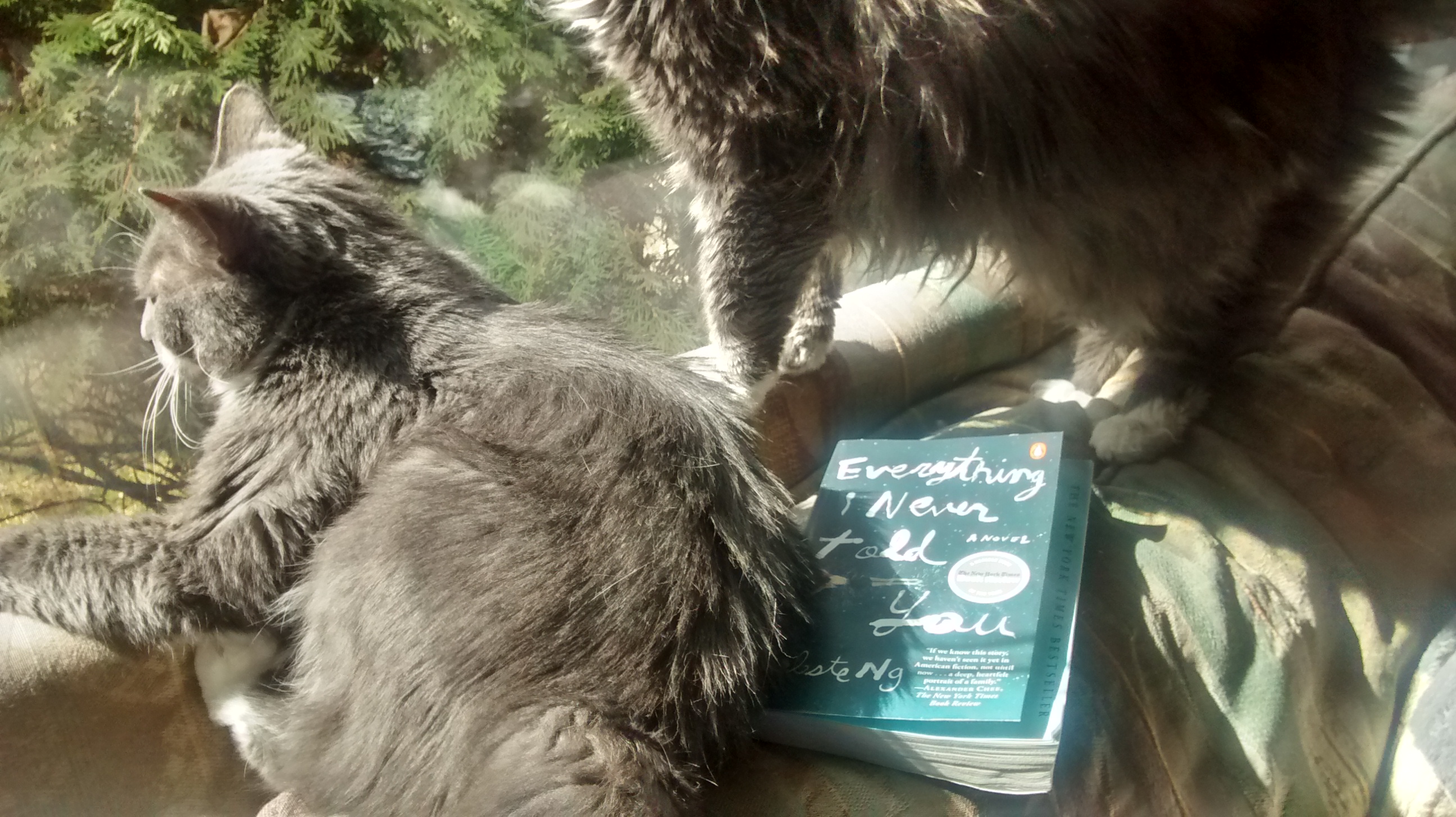 Reading this book has led Smokey and Pearl to contemplate their mom's decision to not return to work