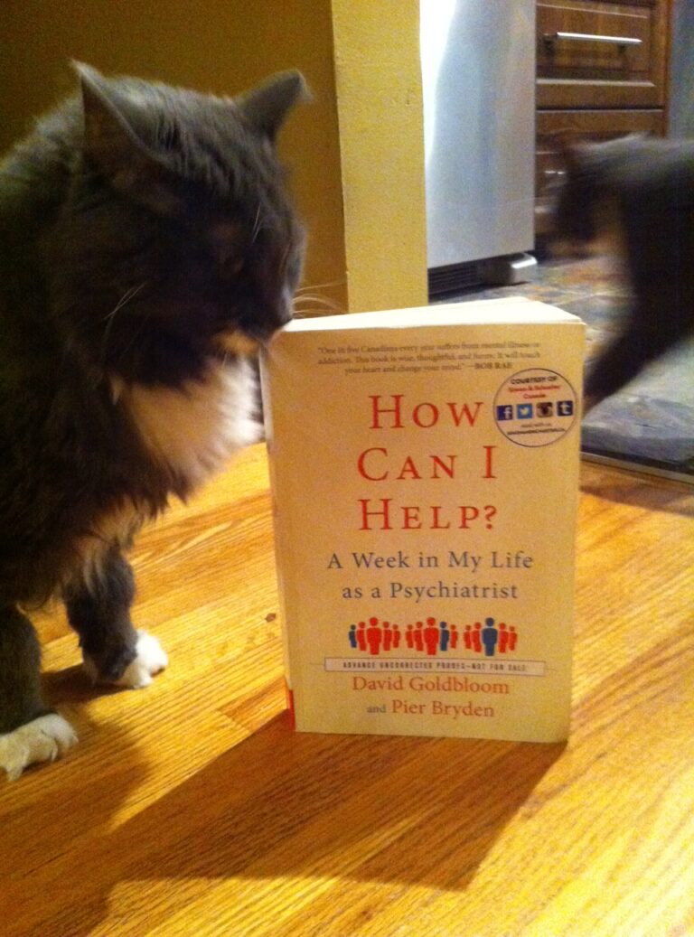 Book Review: How Can I Help? by David Goldbloom and Pier Bryden