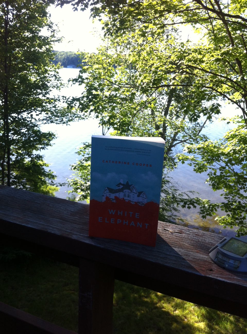 I was lucky enough to read this book in the beautiful setting of Muskoka! Again, no cat accompaniment unfortunately