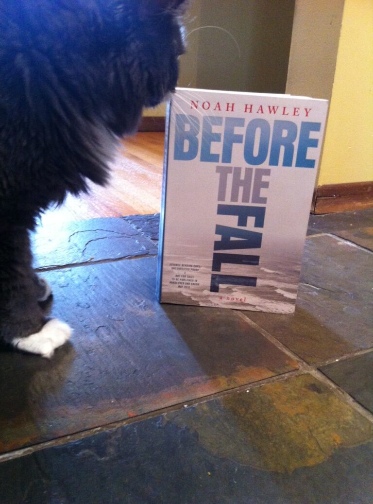 Book Review: Before the Fall by Noah Hawley