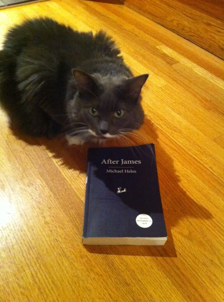 Book Review: After James by Michael Helm