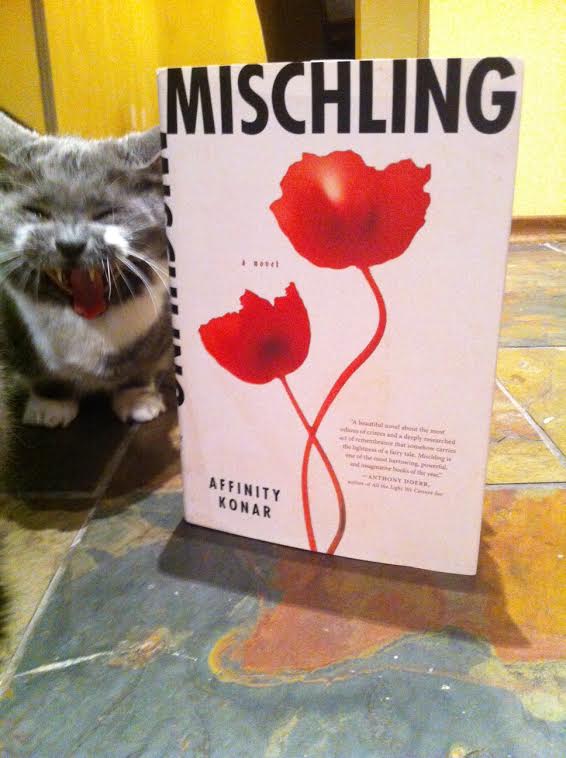 Book Review: Mischling by Affinity Konar