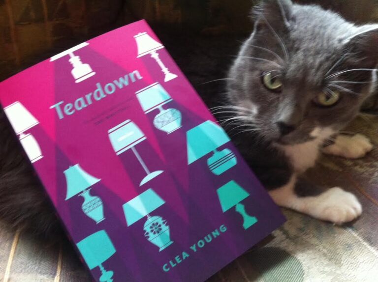 Book Review: Teardown by Clea Young