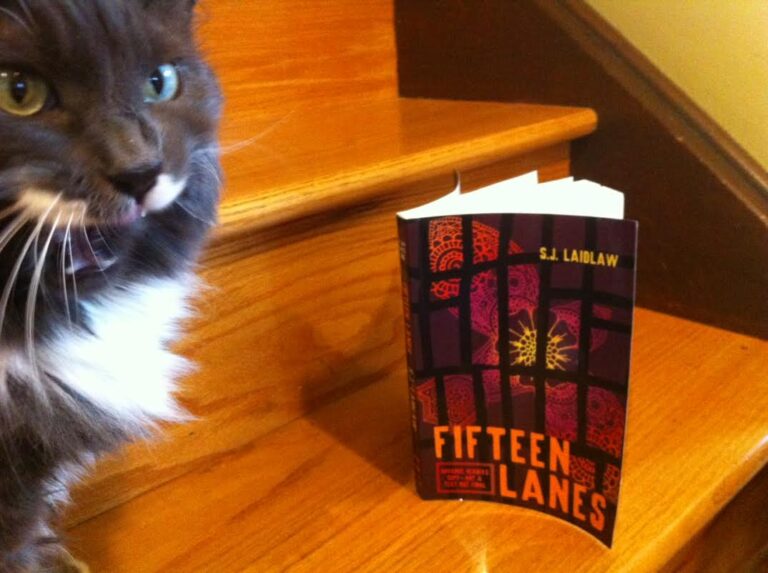 YA Book Review: Fifteen Lanes by S.J. Laidlaw