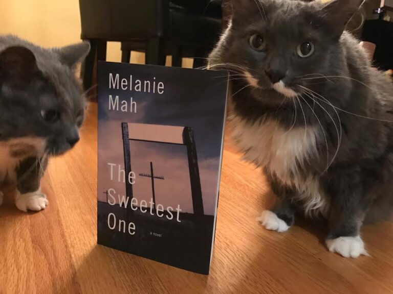 Book Review: The Sweetest One by Melanie Mah