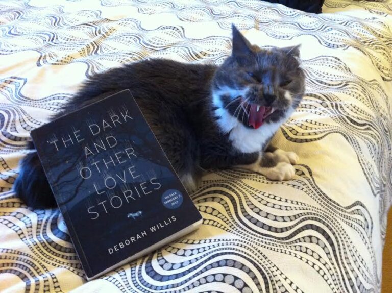 Book Review: The Dark and Other Love Stories by Deborah Willis