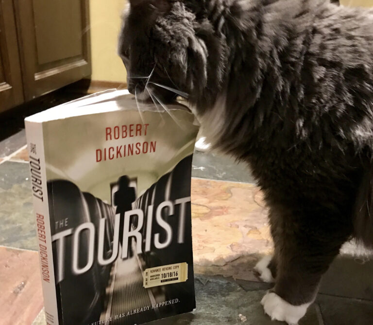 Book Review: The Tourist by Robert Dickinson