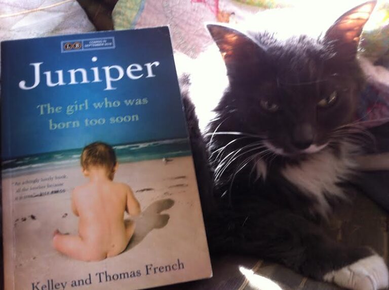 Book Review: Juniper, The Girl Who Was Born Too Soon by Kelley and Thomas French