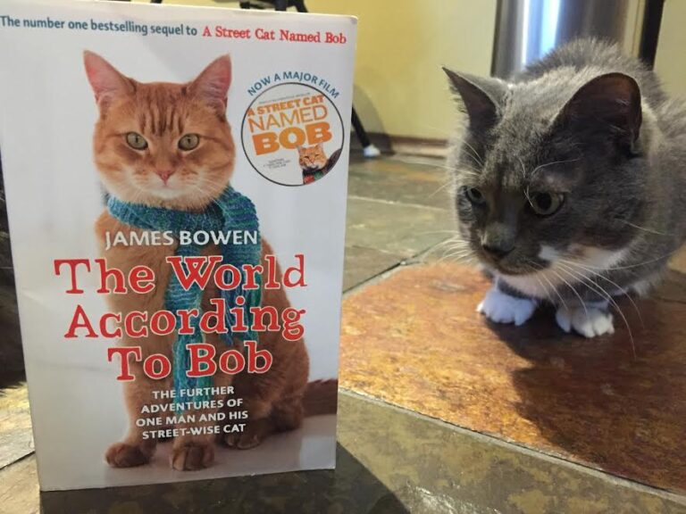 Book Review: The World According to Bob by James Bowen