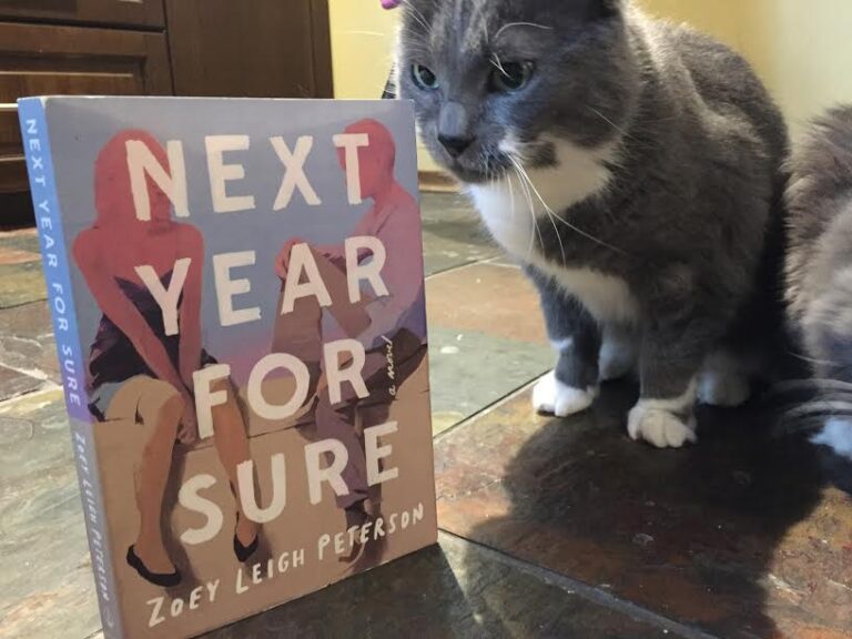 Book Review: Next Year For Sure by Zoey Leigh Peterson