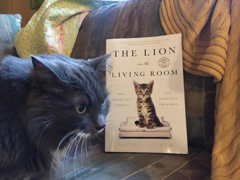 Book Review: The Lion in the Living Room by Abigail Tucker
