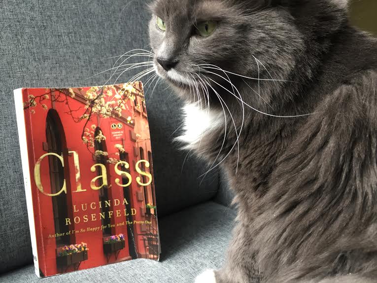 Book Review: Class by Lucinda Rosenfeld