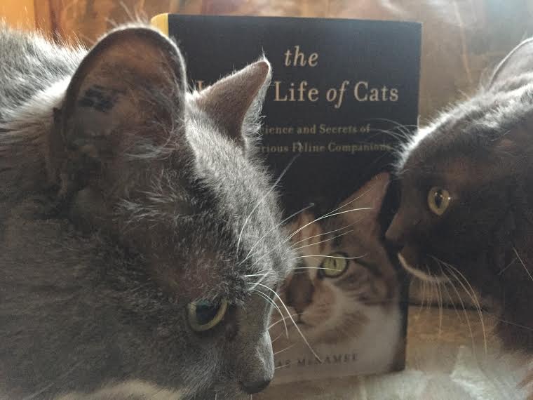 Book Review: The Inner Life of Cats by Thomas McNamee