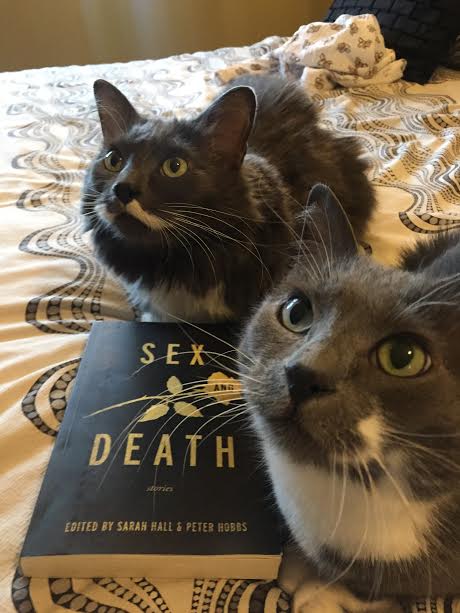 Book Review: Sex and Death, Stories, Edited by Sarah Hall and Peter Hobbs