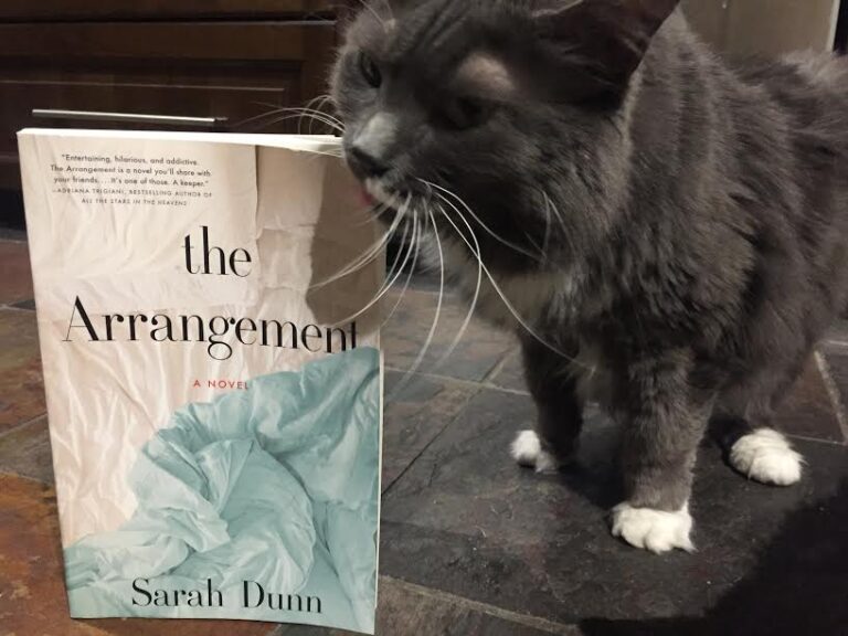 Book Review: The Arrangement by Sarah Dunn