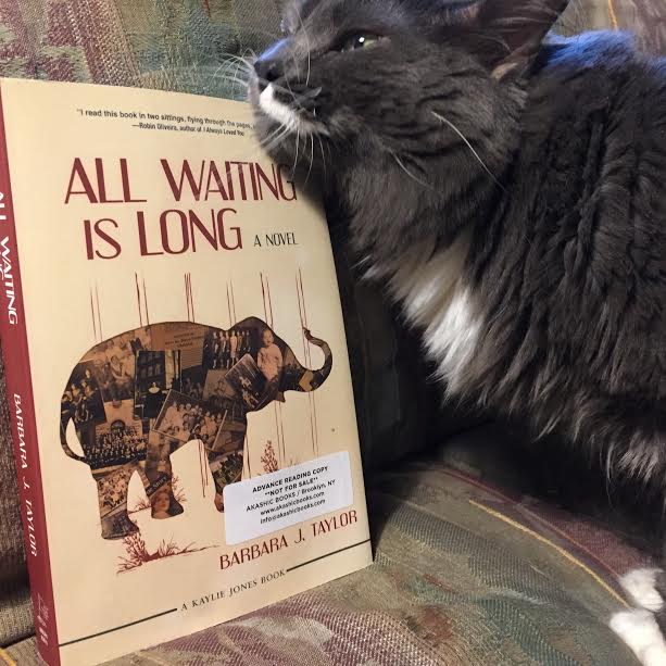 Book Review: All Waiting is Long by Barbara J. Taylor
