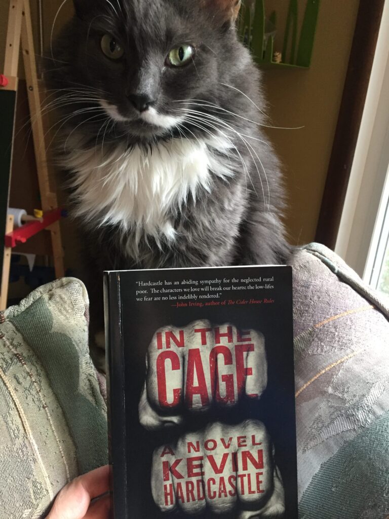 Book Review: In the Cage by Kevin Hardcastle