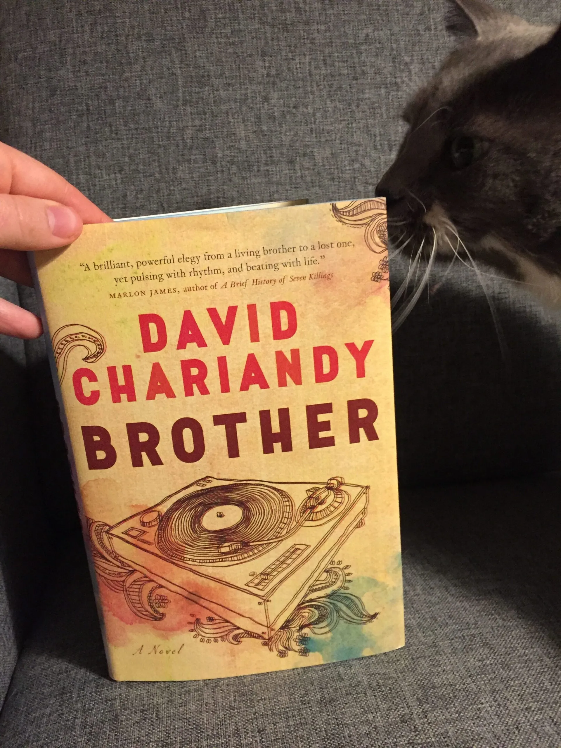 Brother by David Chariandy book pictured on a blue background with a cat touching its nose to the cover