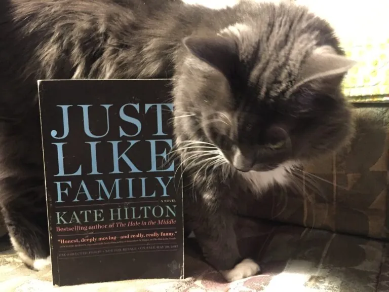 Author Interview and Giveaway: Kate Hilton*