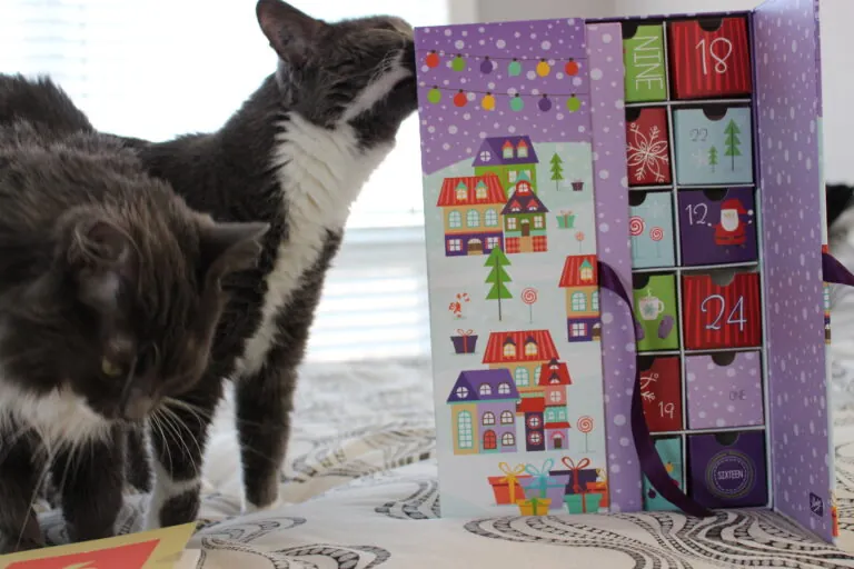 Holiday Advent Calendar Unveiling: December 23