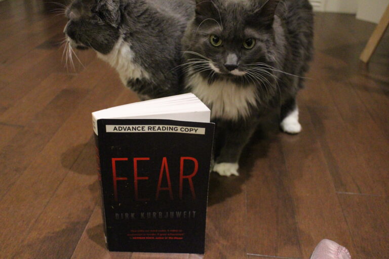 Book Review: Fear by Dirk Kurbjuweit, translated by Imogen Taylor