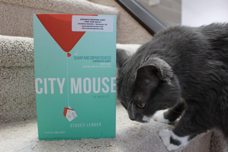 Book Review: City Mouse by Stacey Lender