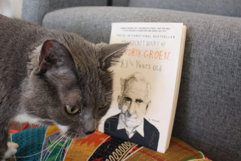 Book Review: The Secret Diary of Hendrik Groen, 83 1/4 Years Old by Hendrik Groen