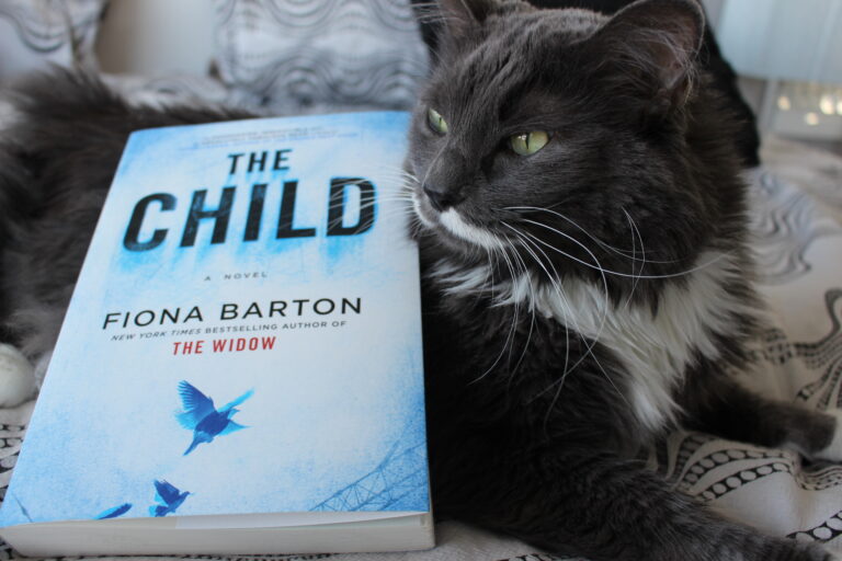 Book Review: The Child by Fiona Barton