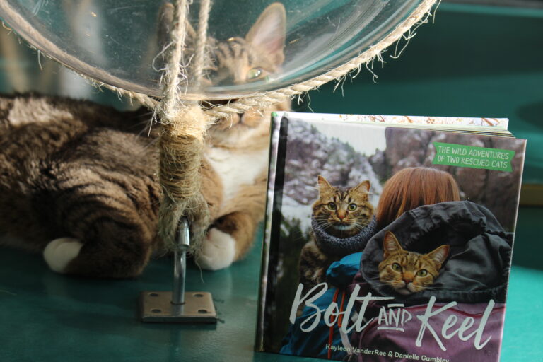 Video Review: Bolt and Keel by Kayleen Vanderree
