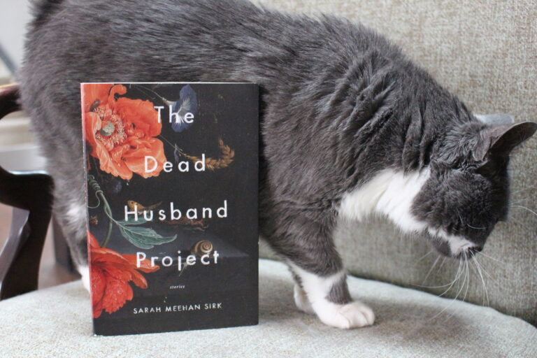 Book Review: The Dead Husband Project by Sarah Meehan Sirk