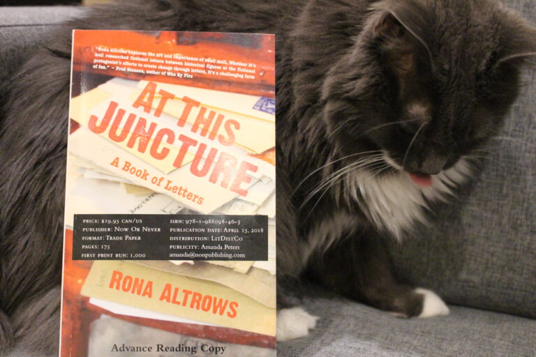 Book Review: At This Juncture by Rona Altrows